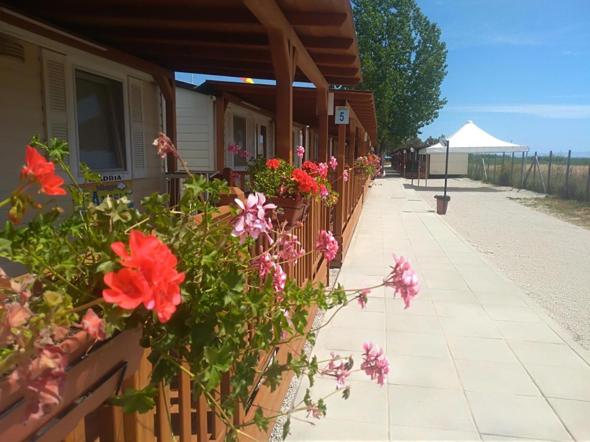 Villaggio Degli Angeli Scerne Pineto Eksteriør billede