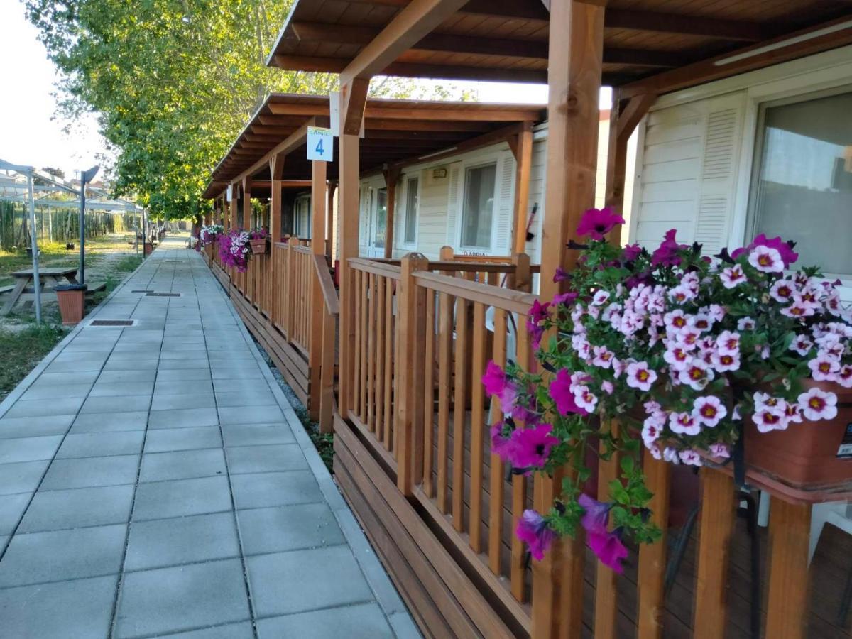 Villaggio Degli Angeli Scerne Pineto Eksteriør billede
