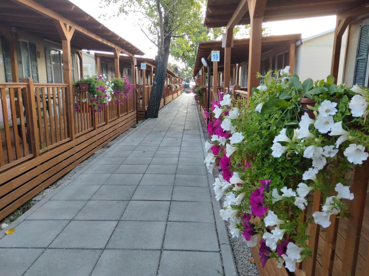 Villaggio Degli Angeli Scerne Pineto Eksteriør billede